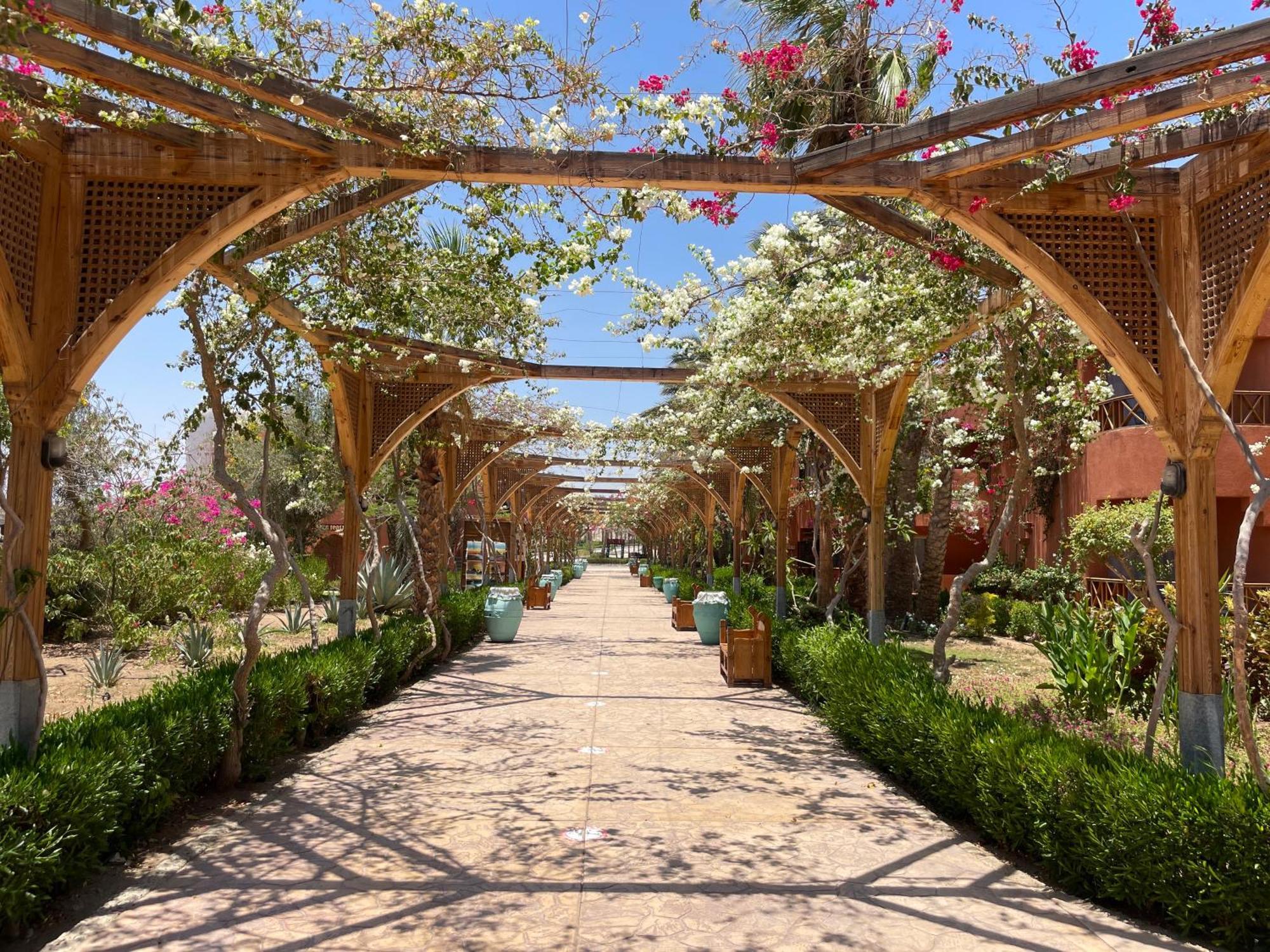 Soulotel Emerald Resort & Spa Marsa Alam Buitenkant foto
